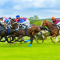 Behind-the-Scenes Snapshots: Exploring the World of Horse Racing Photography
