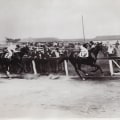 Man o' War: The Dominant Horse of the Track