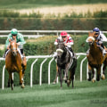Positioning Yourself for the Best Shots - Tips for Capturing Great Racehorse Photos