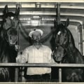 Bert Morgan: Capturing the Beauty and History of Horse Racing