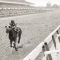 Belmont Stakes and Its Grueling Distance: A Look at Horse Racing History