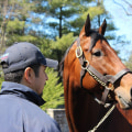 The Incredible Story of American Pharoah and his Historic Feat