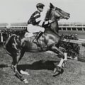 The Excitement of Horse Racing: Exploring the World of Winners' Circle Moments