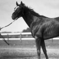 The Legendary Sir Barton and the First Triple Crown