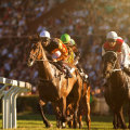 Exploring the Evolution of Modern Horse Racing