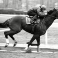 The Fascinating History of the Kentucky Derby
