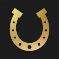 One-of-a-kind Racehorse Shoe Art: A Must-Have for Horse Racing Fans