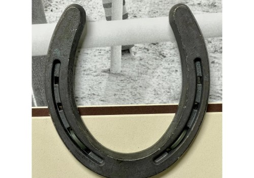 Autographed Equipment and Gear: A Must-Have for Horse Racing Collectors
