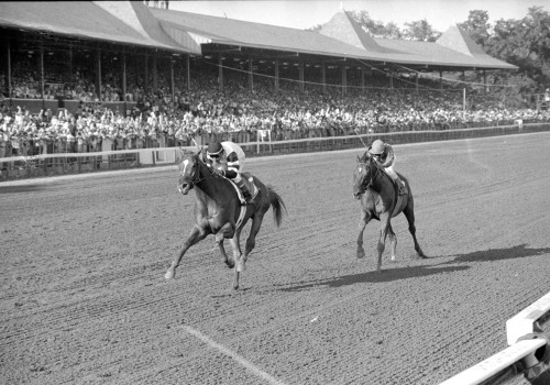 Affirmed and his Rivalry with Alydar: A Tale of Two Legendary Horses