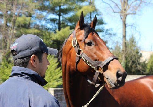 The Incredible Story of American Pharoah and his Historic Feat