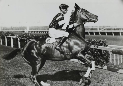 The Excitement of Horse Racing: Exploring the World of Winners' Circle Moments