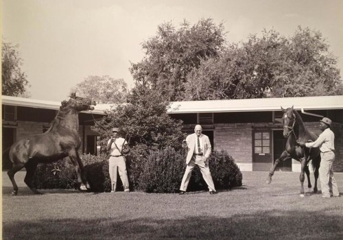 A Look into the Iconic Images of Tony Leonard: A Renowned Horse Racing Photographer