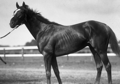 The Legendary Sir Barton and the First Triple Crown