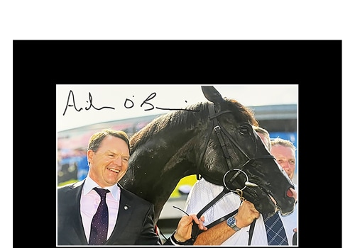 Famous Jockeys and Their Autographs: Exploring the World of Horse Racing Collectibles